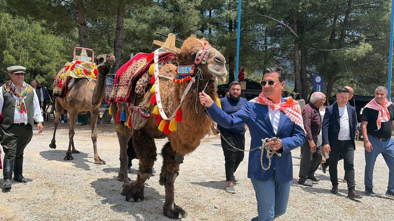 Yörük Türkmen Toyu, Coşkulu Yörük Göçüyle Başladı 12